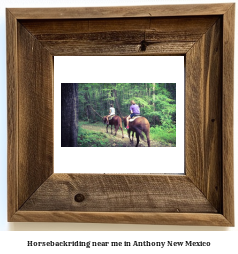 horseback riding near me in Anthony, New Mexico